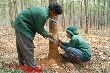 Nâng cao vai trò của Công đoàn trong công tác bảo hộ lao động